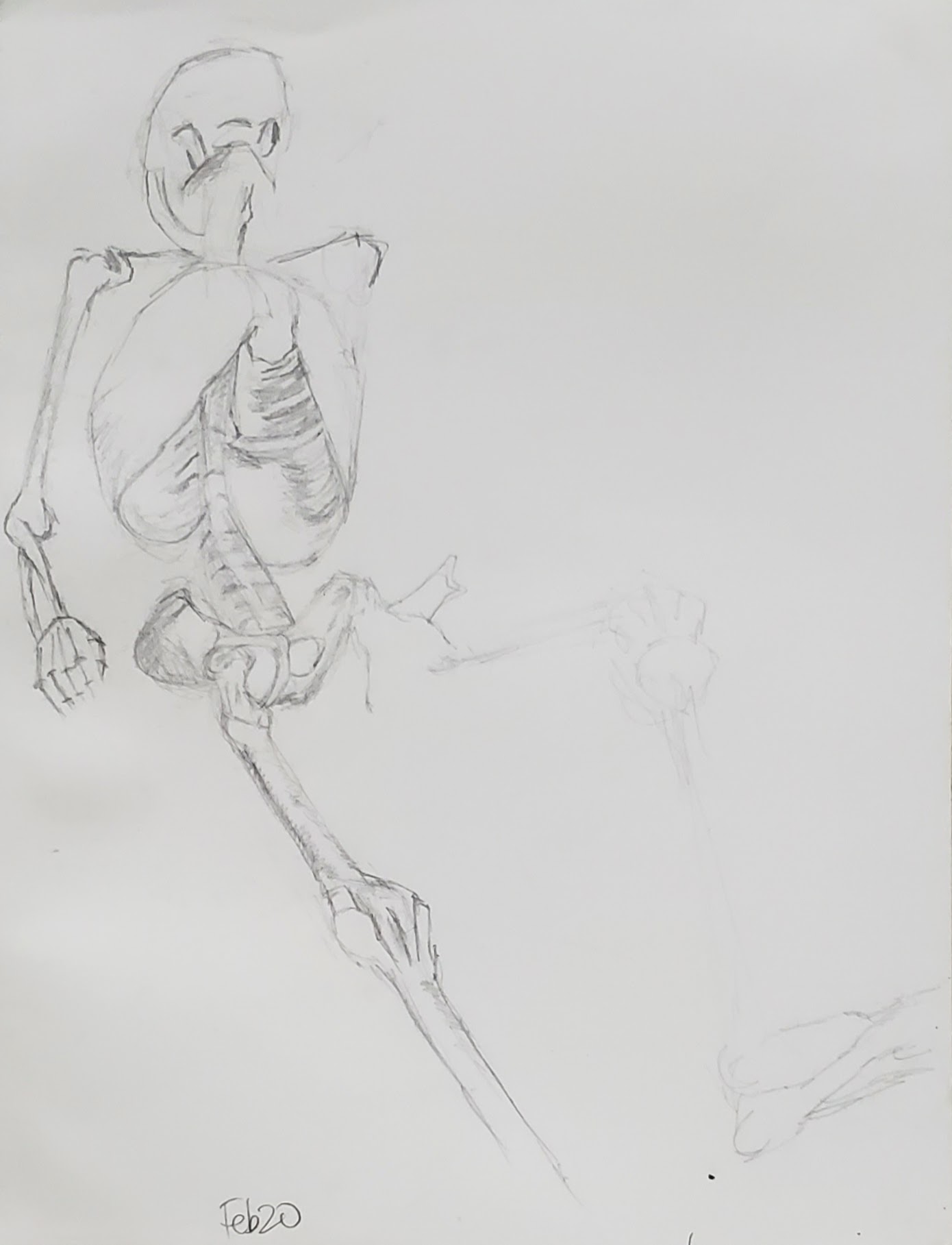anatomy drawing of reclining skeleton laying back foreshortened black and white grey pencil graphite sketch